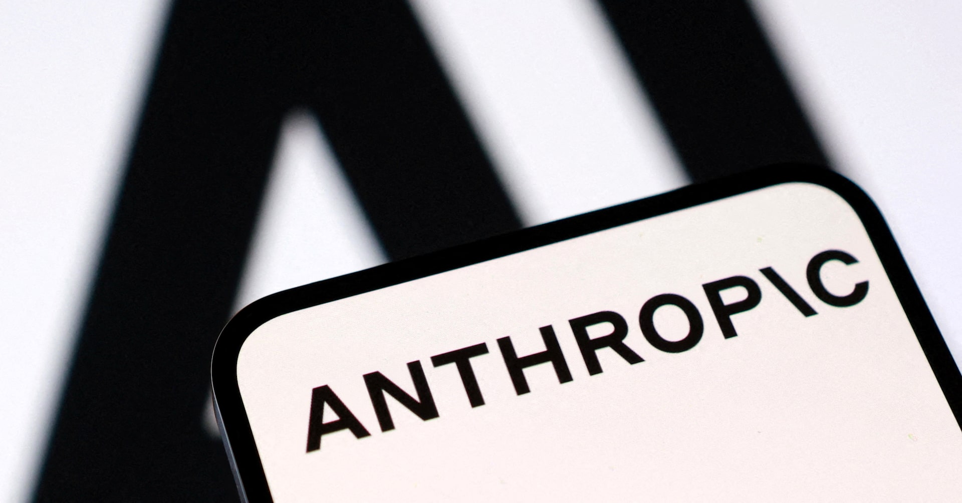 Anthropic's AI Can Break Your Bank