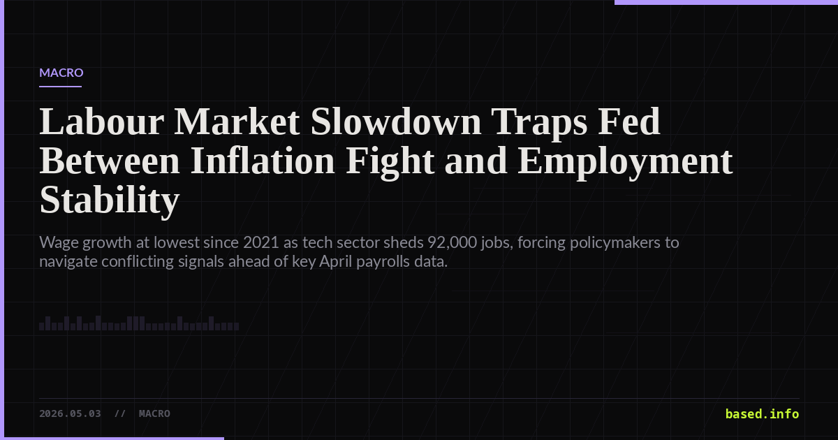 The Labor Market That Cannot Be Described in One Sentence